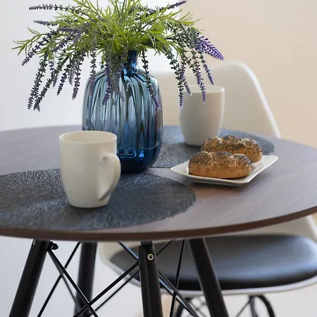 Spacious 120 M From The Metro Station By Renters
